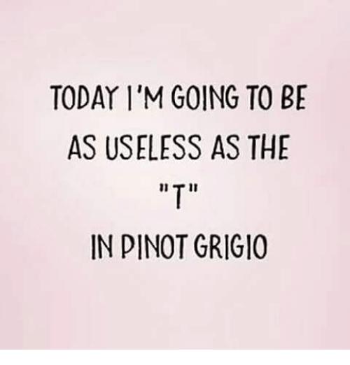 我今天打算像“Pinot Grigio”里的“T”一样没用(图片来源:Me)