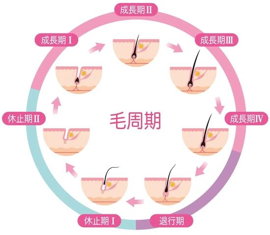 图源图虫创意