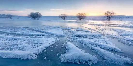 图:@蓝雪