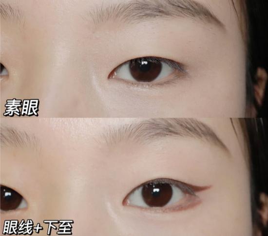 图源@猫语椰