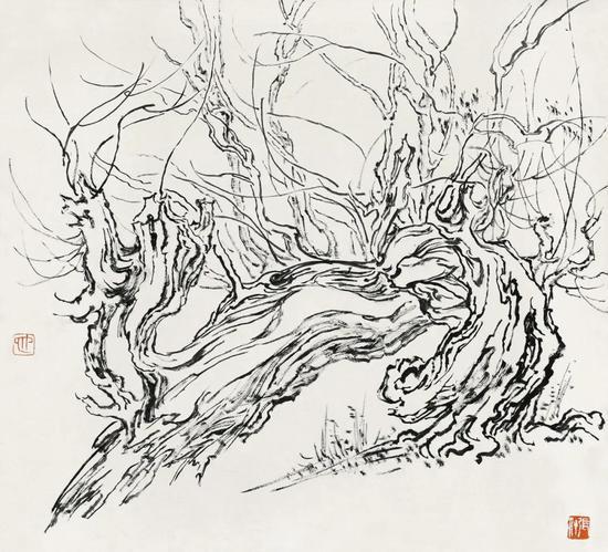 张仃《胡杨》 纸本焦墨 38厘米×35厘米 1981年