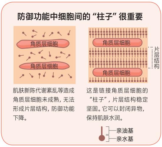 秋冬护肤指南 我们为什么每天都要保湿？