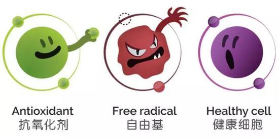图源网络