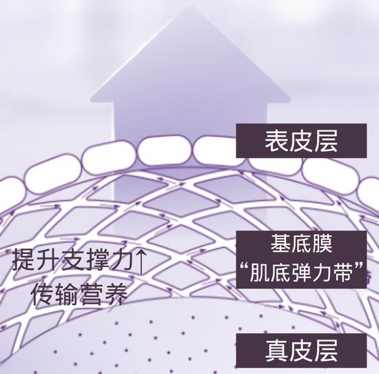图源:官方 canva制作