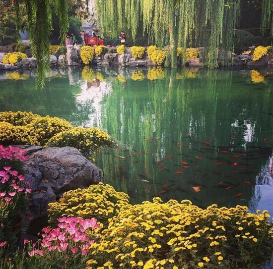 (图:@chelsea.yin)
