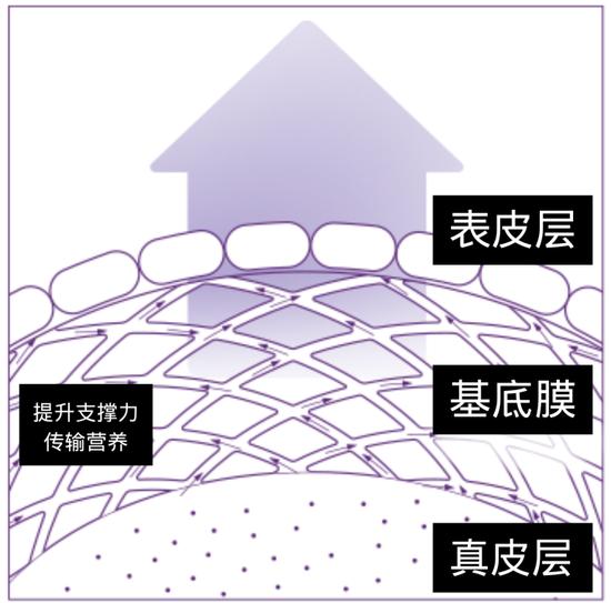 canva制作