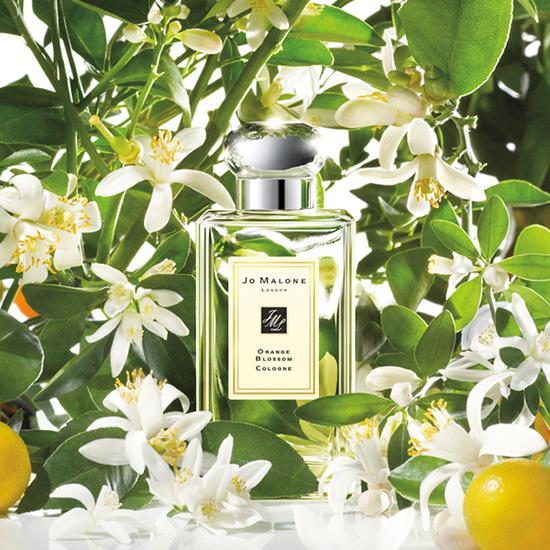 Jo Malone London 祖·玛珑橙花香氛 图片来源自品牌