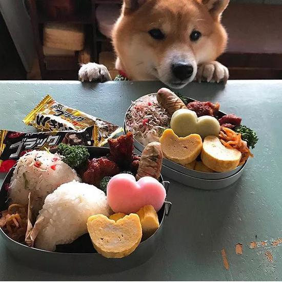 还不给吃吗?