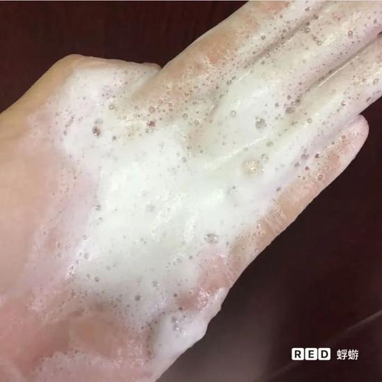 图源来自小红书@蜉蝣