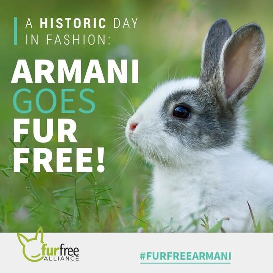 Armani 集团宣布零皮草政策