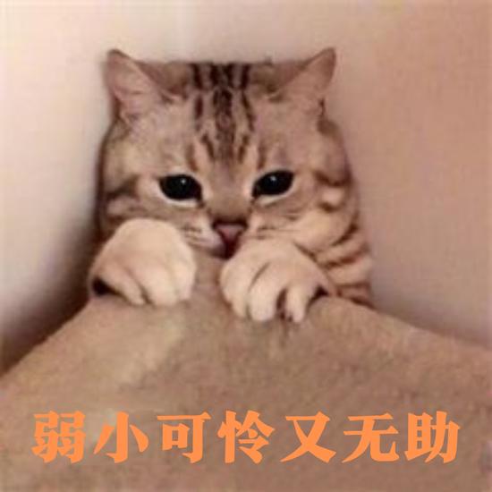 文字来源于canva