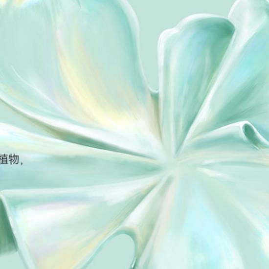 cr:品牌官方
