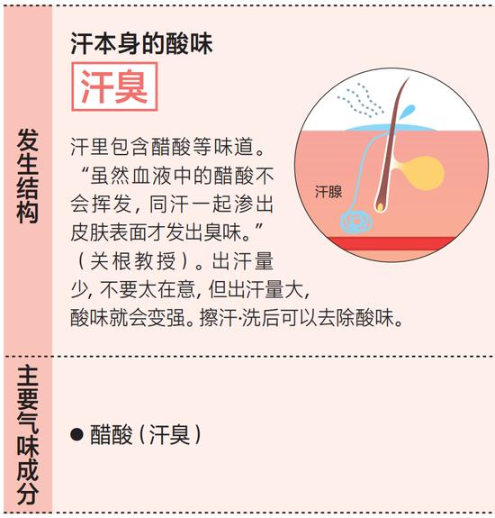 令人尴尬的身体气味图鉴及其对策！