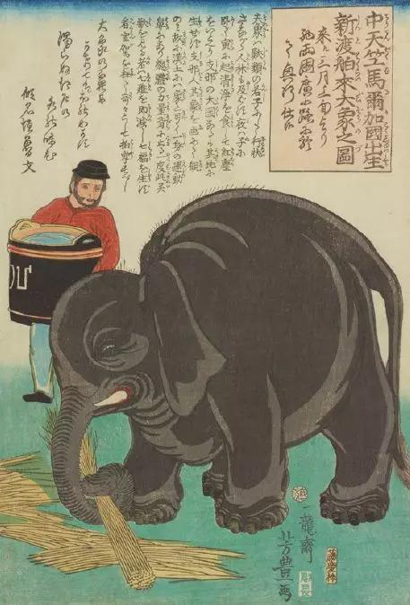 《中天竺马尔加国出生新渡舶来大象之图》・歌川芳丰・太田纪念美术馆