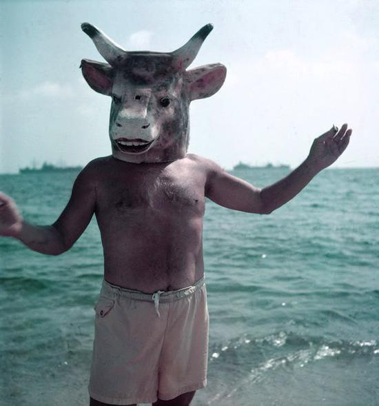 毕加索,1959
