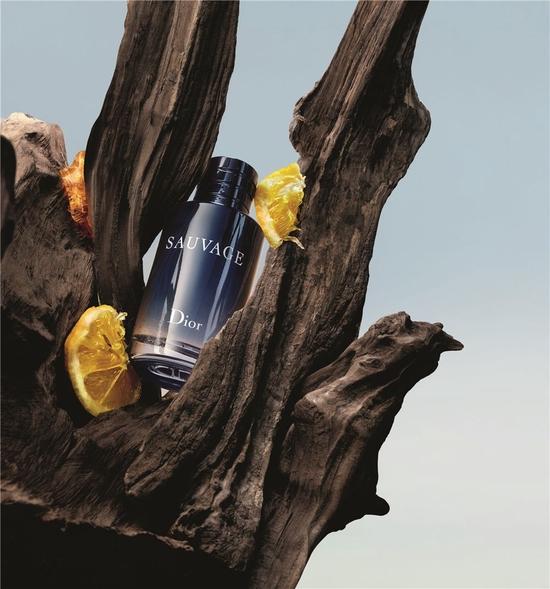 循旷野之息 入无界之境——Dior迪奥旷野淡香水