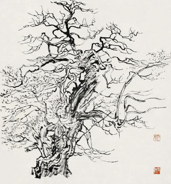 张仃《胡杨》 纸本焦墨 38厘米×35厘米 1981年