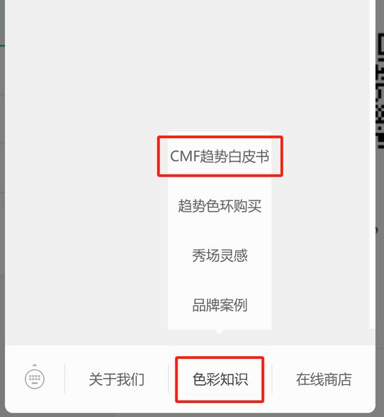 COLORO 联合寻材问料 重磅发布《2025 CMF流行趋势白皮书》插图47