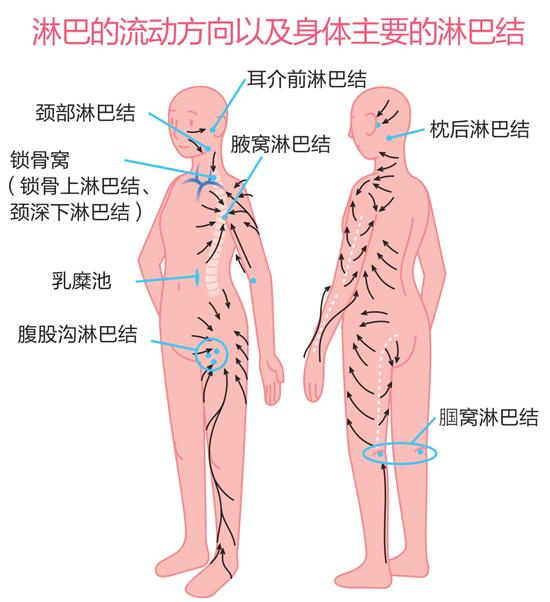 淋巴瑜伽消除腹部、腿部、面部的浮肿！