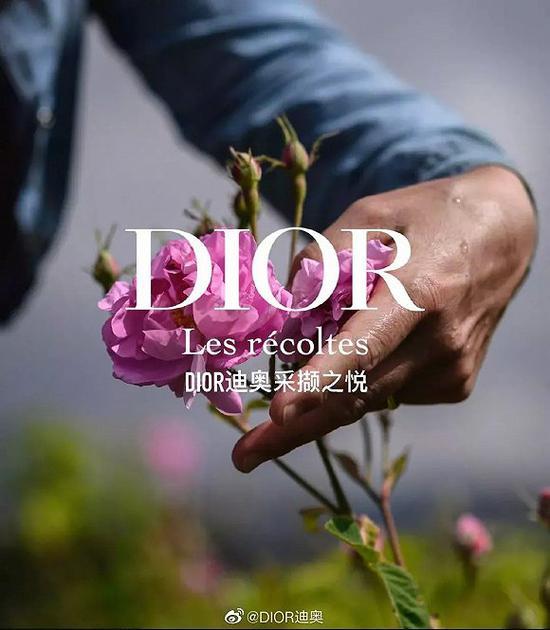 香水化妆品是LVMH集团独立业务部门,占比近15%