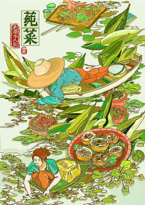 水八仙——莼菜 插画来自LULULUhe