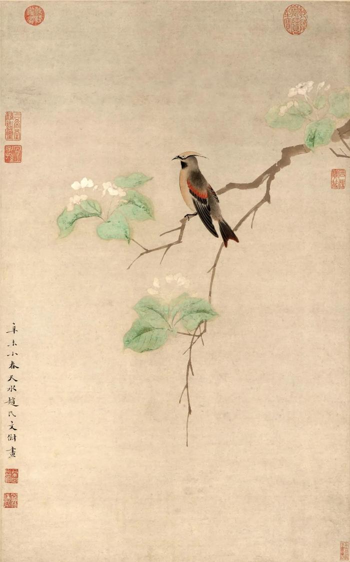 (明)文俶《碧叶绣羽图轴》,上海博物馆藏