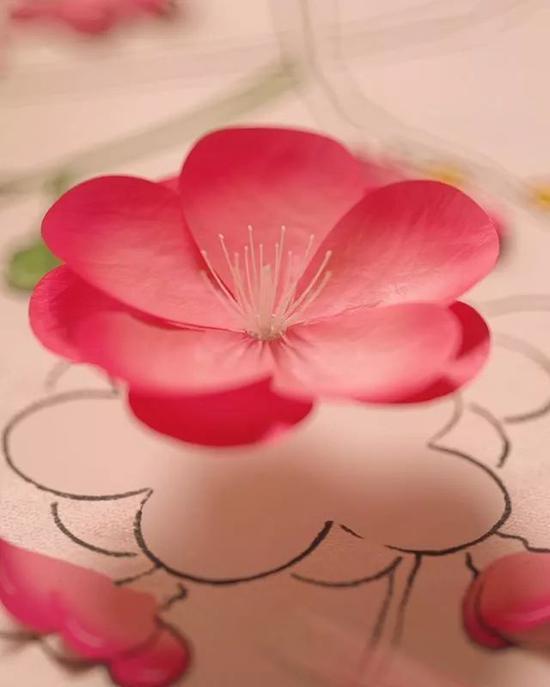 *图源ins@cledepeaubeaute