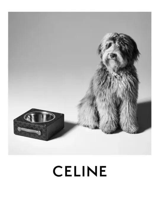 via:CELINE MAISON DOG