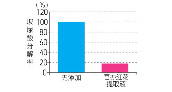 年龄增长和紫外线损伤肌肤 教你如何预防深层皱纹