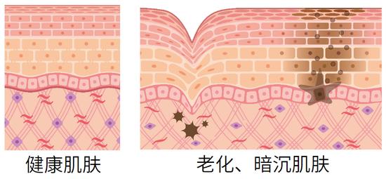 图源:图虫创意 制作:Canva