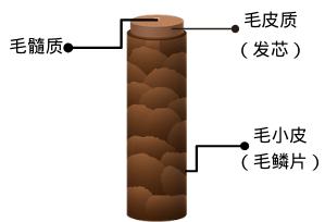 cr:视觉中国,制图于canva