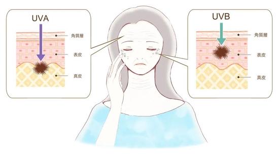图源:图虫创意