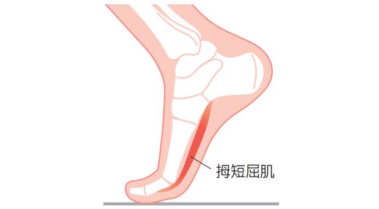 缺乏运动人群必看！正确的步行方式可以增加肌肉