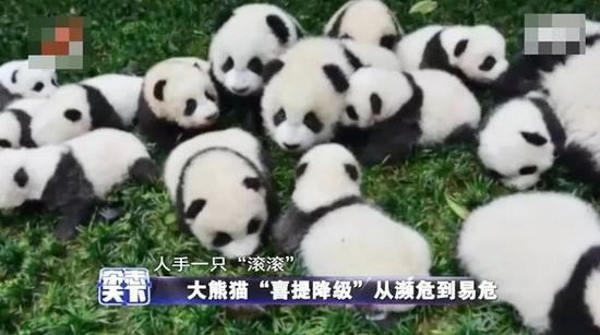 图 | 源于江西卫视《杂志天下》