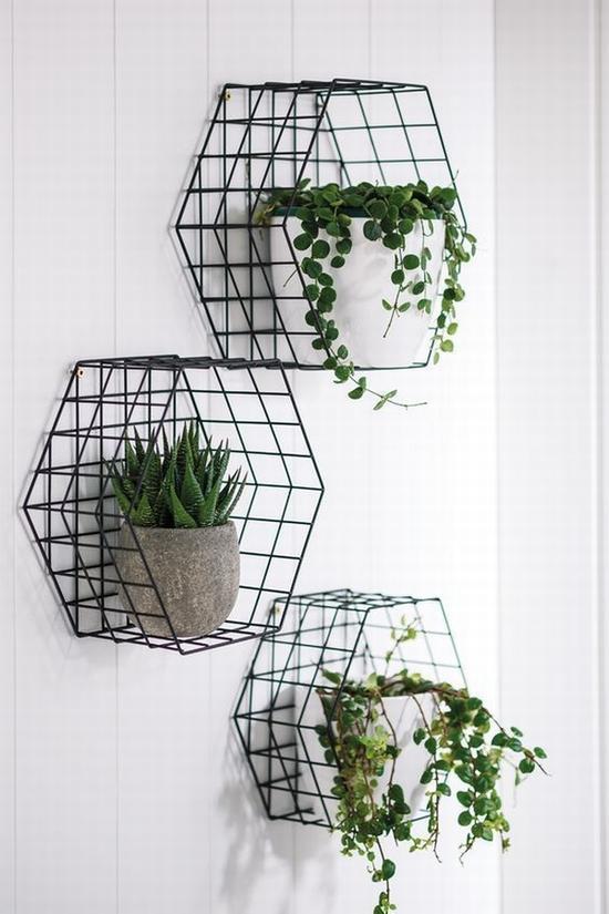 绿植上墙才时髦 图片源自pinterest