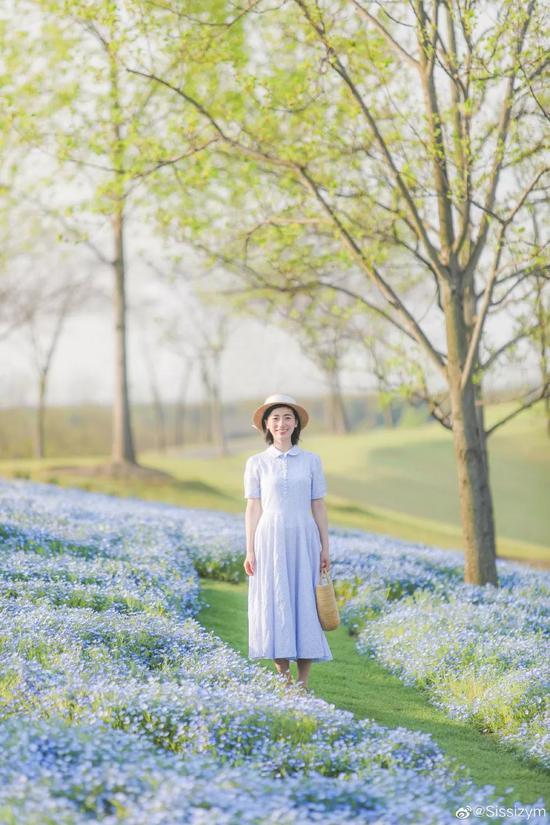 ▲图:@Sissizym