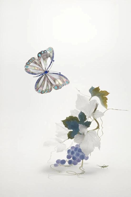 Lacquered Butterfly胸针与Seafly Butterfly胸针