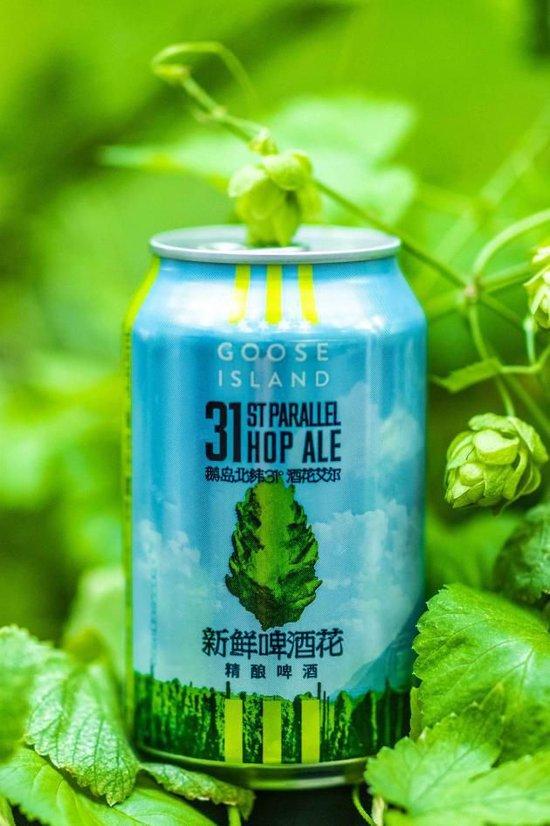 GOOSE ISLAND鹅岛新品-北纬 31°酒花艾尔山姆版