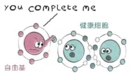 图源网络