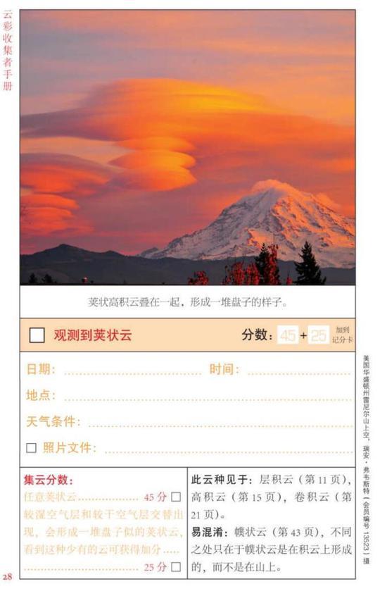 内页
