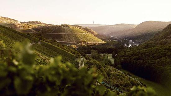 杜荷夫酒庄(Weingut Donnhoff)的葡萄园(图片来源:www.doennhoff.com)