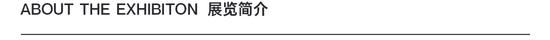 TRIUMPH｜「王亚彬：锦瑟」 将于11月17日开幕