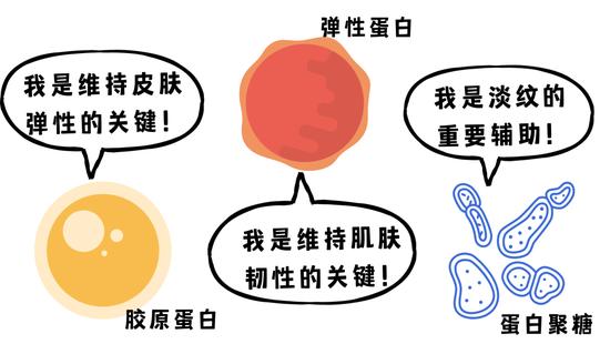 文字素材来源于canva,下同