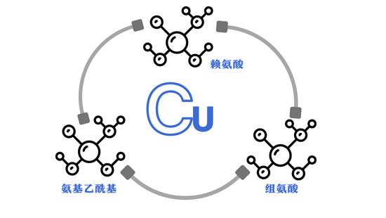 文字素材来源于canva