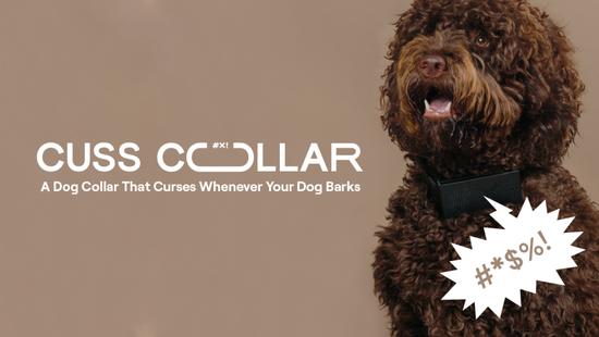 Cuss Collar 宠物项圈