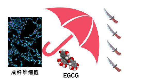 图源图虫,制作于canva,下同