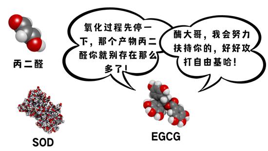 图源图虫,制作于canva