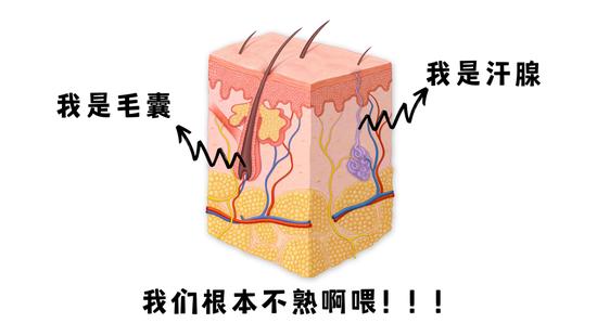 图源视觉中国,制作于Canva