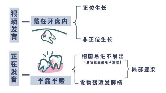 由canva制作