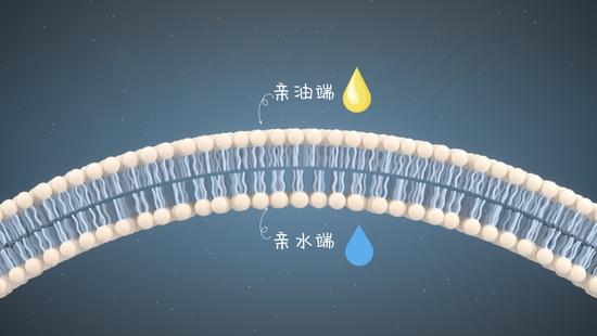 图源视觉中国,制作于可画